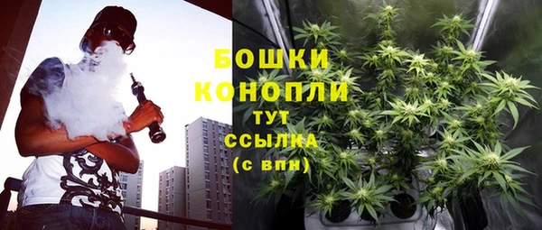 дурь Арсеньев