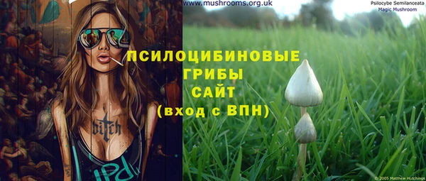 не бодяженный Аркадак