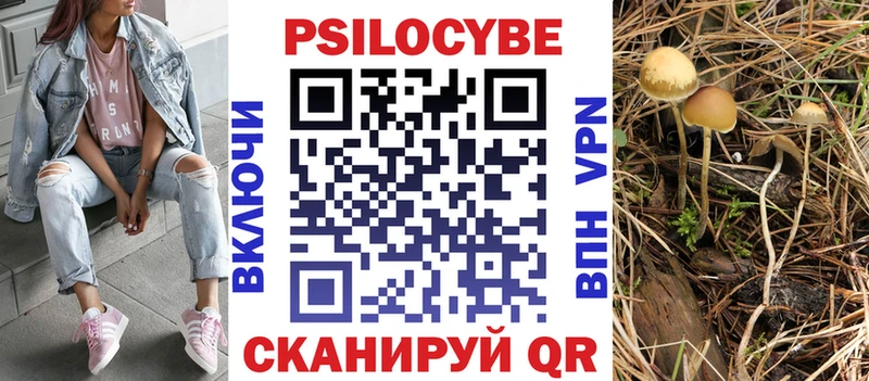 Псилоцибиновые грибы Psilocybe  купить наркотики цена  Сатка 